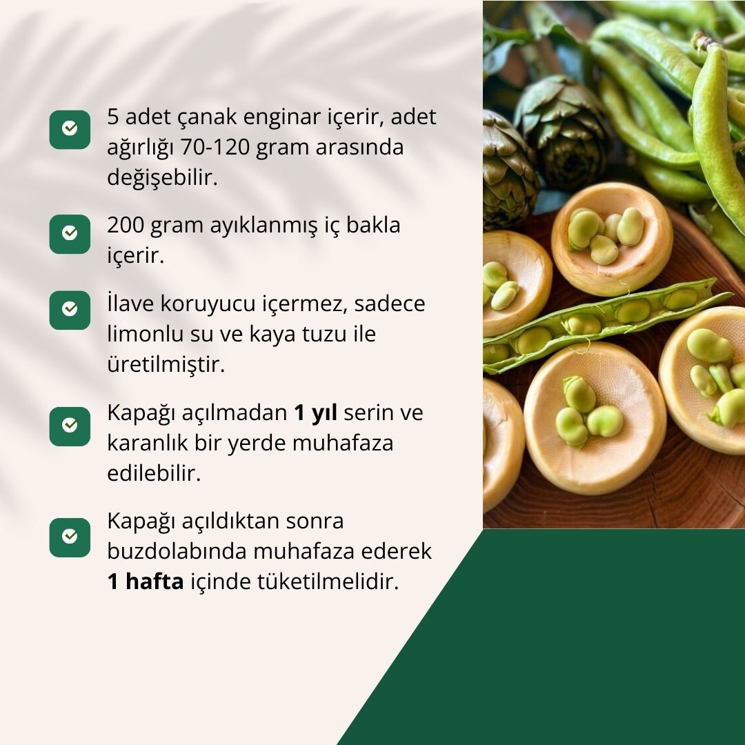 İç Baklalı Çanak Enginar Konservesi