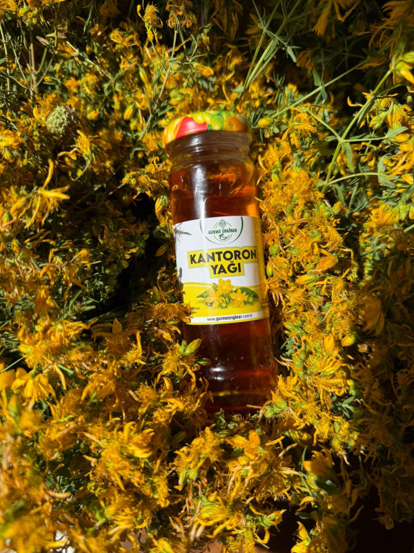 Sarı Kantaron Yağı