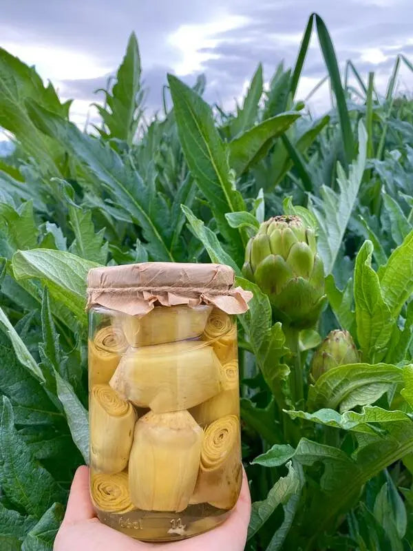 Bebek Enginar Konservesi ( enginar kalbi)