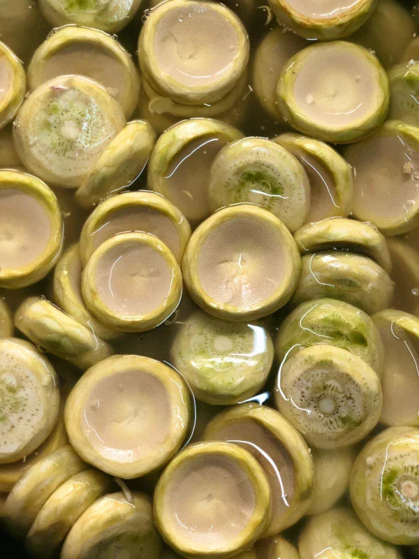 Günlük Soyulmuş Çanak Enginar - Küçük Boy - 20 Adet