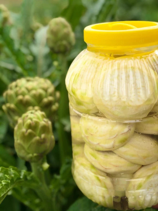 Günlük Soyulmuş Çanak Enginar - Küçük Boy - 20 Adet