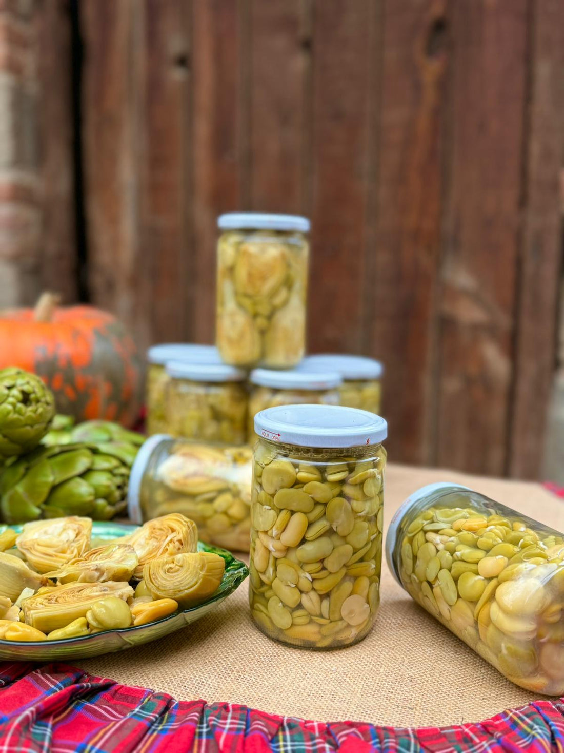 İç Bakla Konservesi