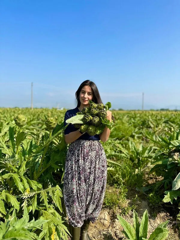 Saplı Bebek Enginar Konservesi