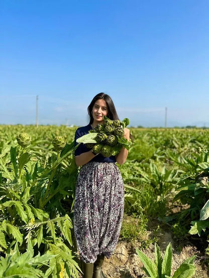 Saplı Bebek Enginar Konservesi