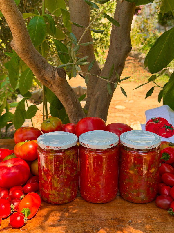 Domates Sosları Seti