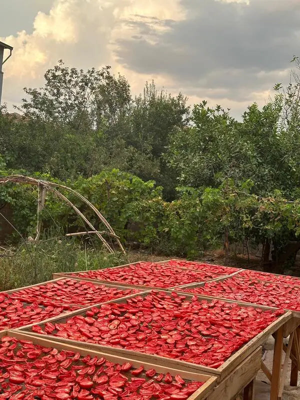 Cevizli Zeytinyağlı Kuru Domates