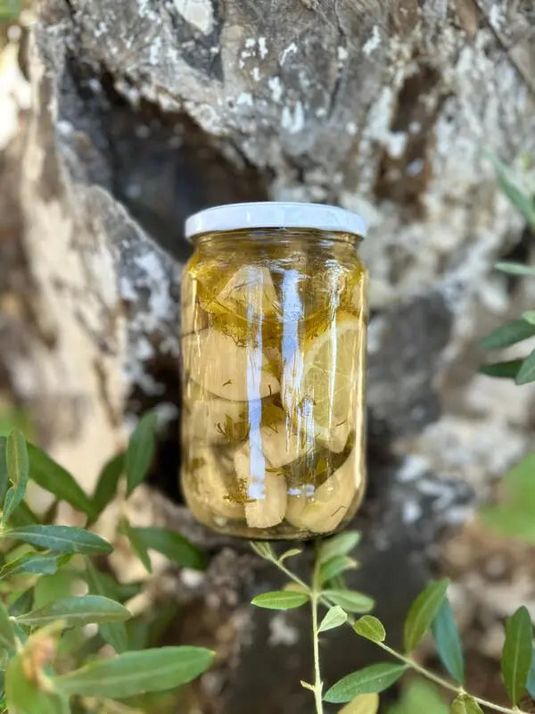 Marine Çanak Enginar Konservesi