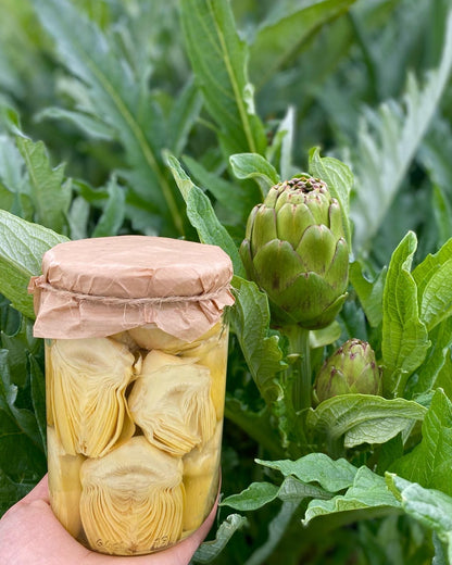 Yarma Kalp Enginar Konservesi (enginar kalbi)