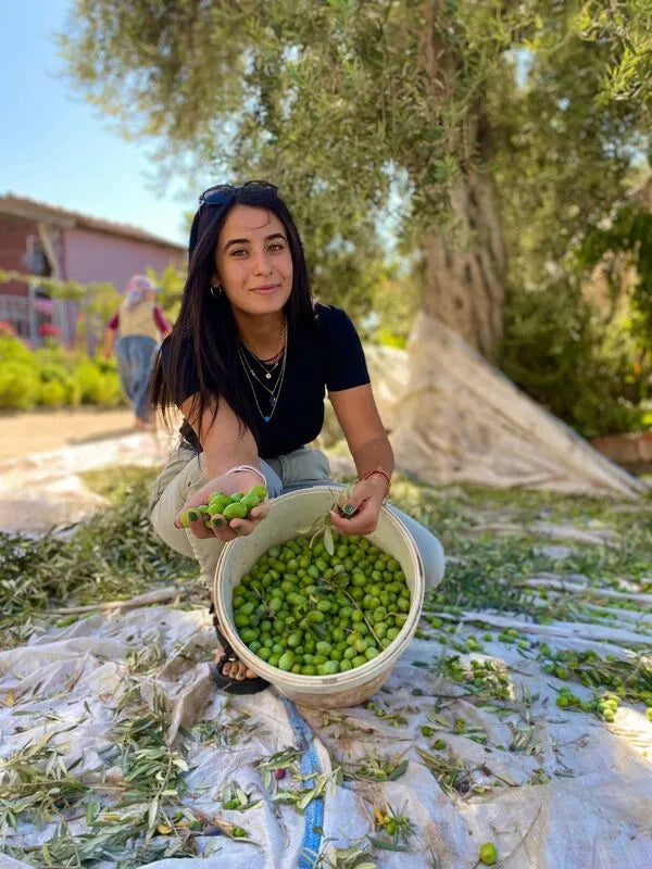 Erken Hasat Soğuk Sıkım Zeytinyağı